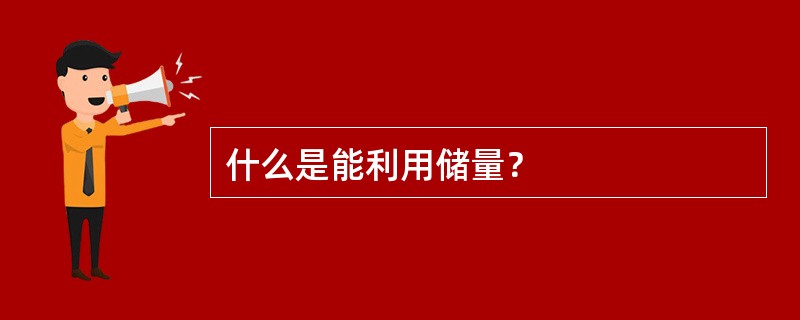 什么是能利用储量？