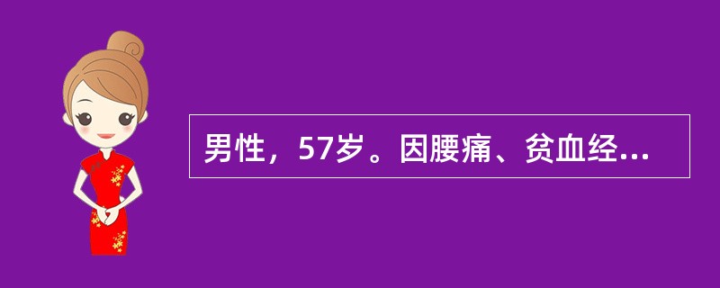 男性，57岁。因腰痛、贫血经检查确诊为多发性骨髓瘤，入院后检查结果是：Hb83g