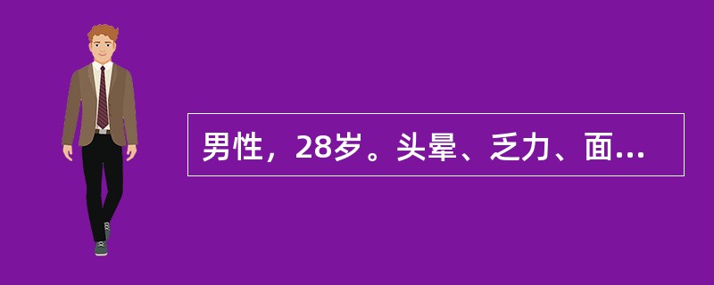 男性，28岁。头晕、乏力、面色苍白2年余。化验：RBC3.0×109／L，Hb7