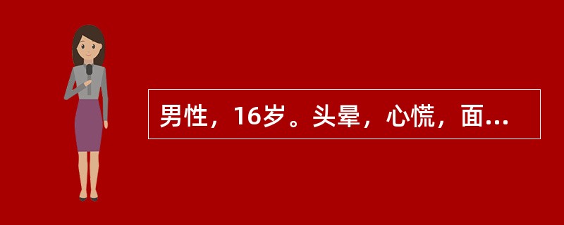 男性，16岁。头晕，心慌，面色苍白半年就诊。体检：中度贫血貌，下肢散在瘀点，舌尖