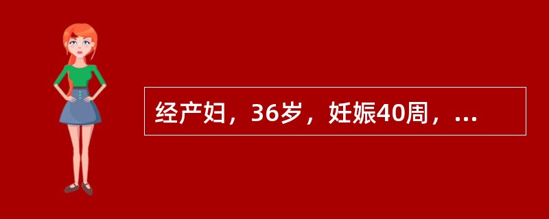 经产妇，36岁，妊娠40周，规律性下腹痛4小时入院，B超提示单胎头位，双顶径9.