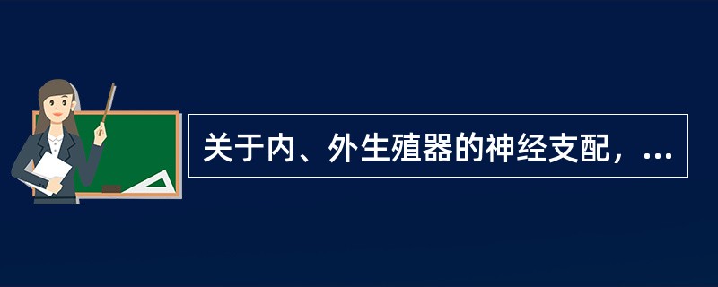 关于内、外生殖器的神经支配，叙述正确的是（）