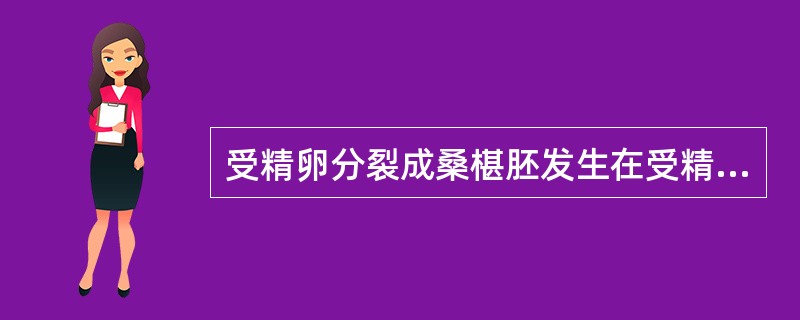 受精卵分裂成桑椹胚发生在受精后早期囊胚进入子宫腔发生在受精后晚期囊胚开始着床发生