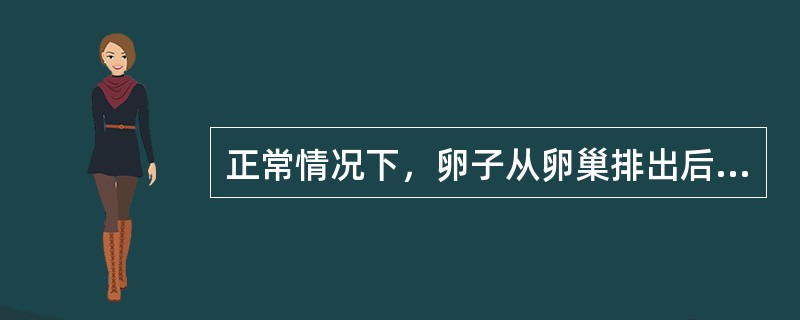 正常情况下，卵子从卵巢排出后，是在输卵管的哪个部位受精（）