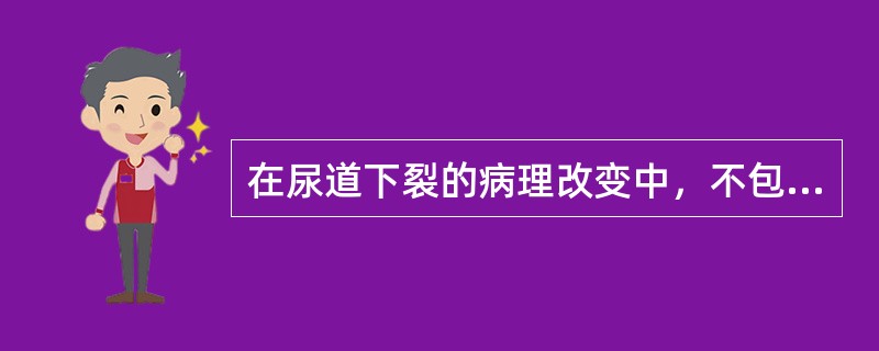 在尿道下裂的病理改变中，不包括下列哪一项（）