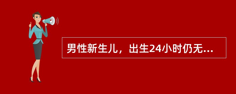 男性新生儿，出生24小时仍无正常胎便排出，喂奶后出现呕吐，呕吐物含黄绿色液体。查