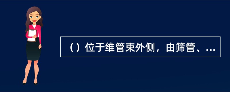 （）位于维管束外侧，由筛管、伴胞、韧皮薄壁细胞组成。