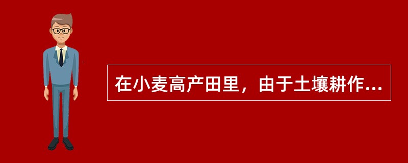 在小麦高产田里，由于土壤耕作层浅，根系入土浅，一般倒伏发生在()期以后。