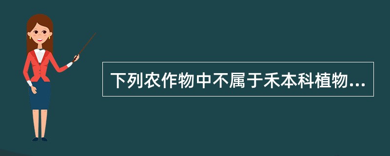 下列农作物中不属于禾本科植物的是（）。