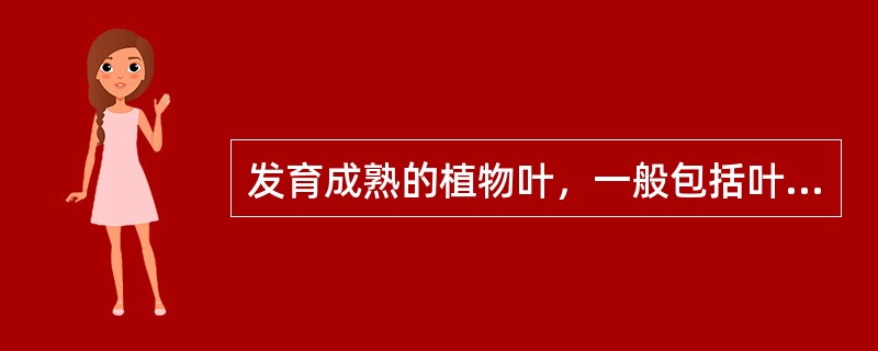发育成熟的植物叶，一般包括叶片、叶柄和托叶三部分。（）