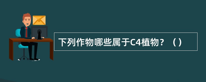 下列作物哪些属于C4植物？（）