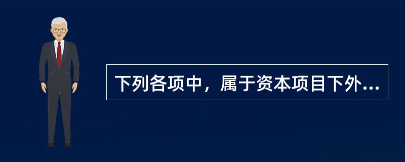 下列各项中，属于资本项目下外汇收支的有()