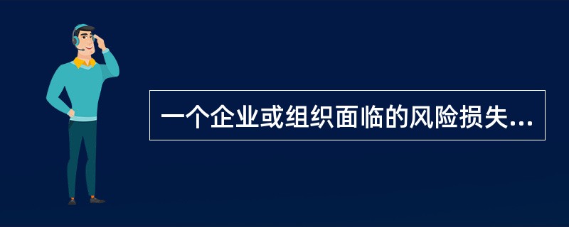 一个企业或组织面临的风险损失通常包括（）①实物资产风险损失；②金融资产风险损失；