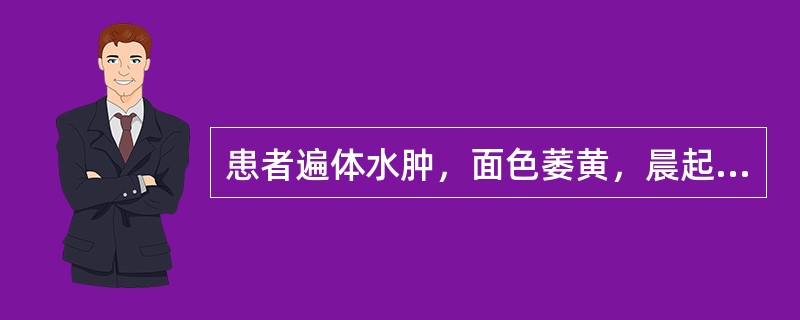 患者遍体水肿，面色萎黄，晨起头面较甚，动则下肢肿胀，能食而疲倦乏力，大便如常或溏