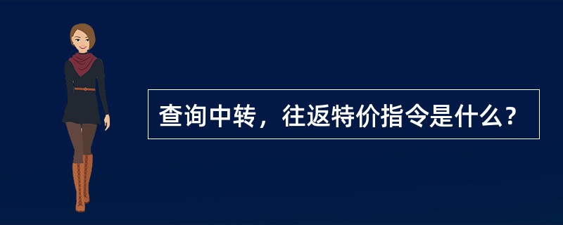 查询中转，往返特价指令是什么？