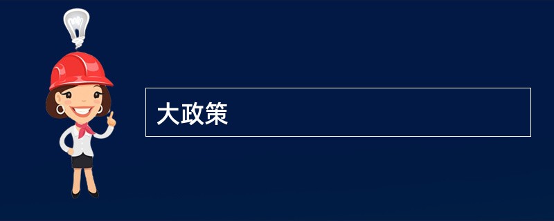大政策