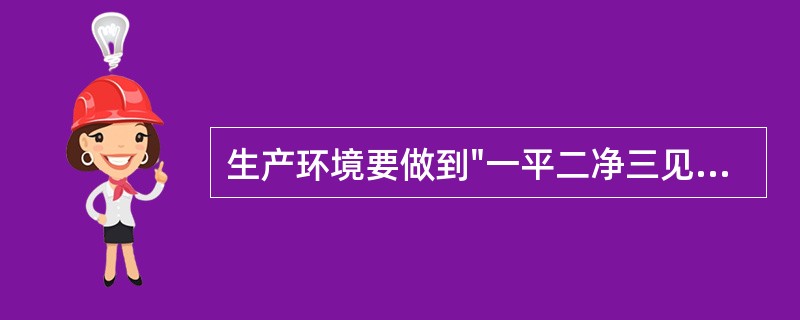 生产环境要做到"一平二净三见四无五不缺"，其具体内容是什么？