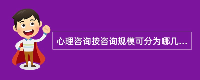 心理咨询按咨询规模可分为哪几类：()