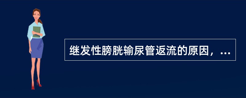 继发性膀胱输尿管返流的原因，不包括（）。