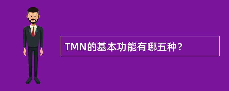 TMN的基本功能有哪五种？