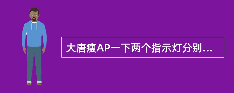 大唐瘦AP一下两个指示灯分别表示什么状态？