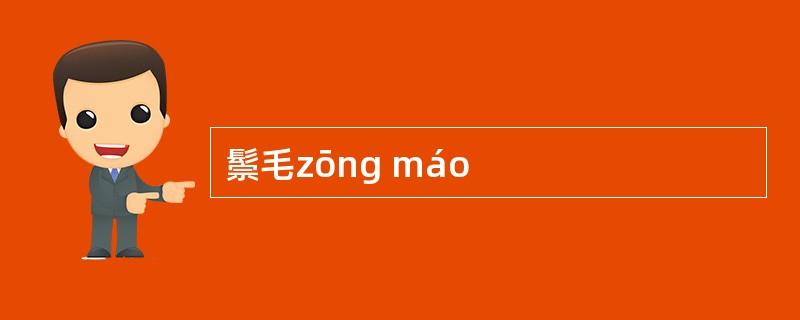 鬃毛zōng máo
