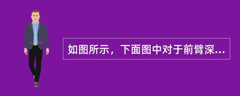 如图所示，下面图中对于前臂深度烧伤环形焦痂进行处理的术式是（）