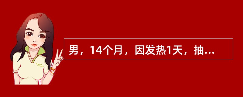 男，14个月，因发热1天，抽搐1次而就诊。无呕吐及腹泻，发热当时39.5℃，抽搐