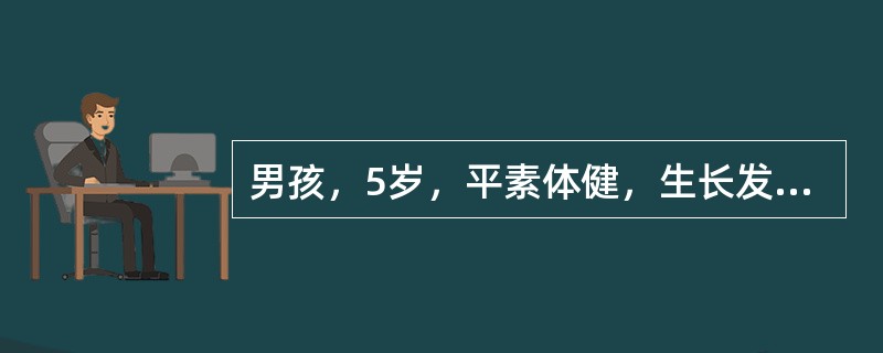 男孩，5岁，平素体健，生长发育正常，体检时胸骨左缘第2肋间可闻及Ⅱ级柔和的收缩期