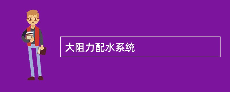 大阻力配水系统