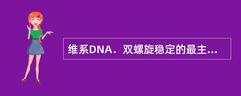维系DNA．双螺旋稳定的最主要的力是（）。
