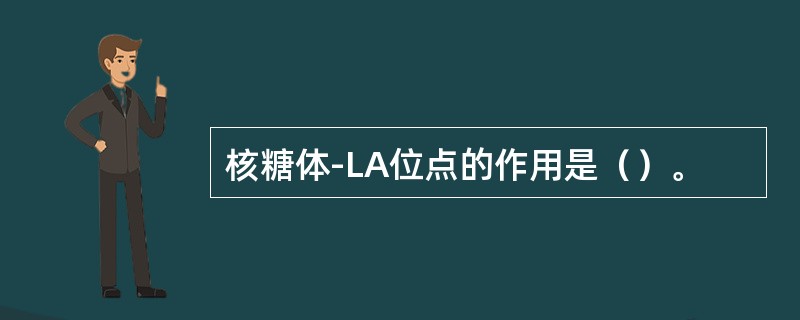 核糖体-LA位点的作用是（）。