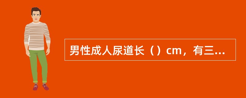 男性成人尿道长（）cm，有三个狭窄，即尿道内口、（）和尿道外口。