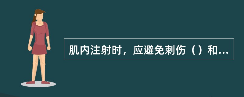 肌内注射时，应避免刺伤（）和（）无回血时方可注射。
