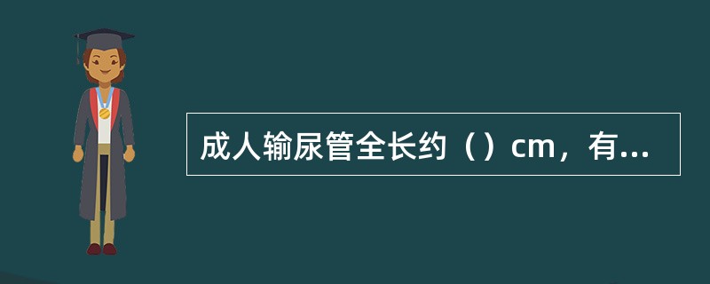 成人输尿管全长约（）cm，有三个狭窄，分别在起始部、（）和穿膀胱壁处。