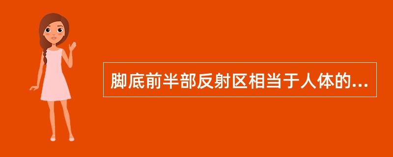 脚底前半部反射区相当于人体的胸部。