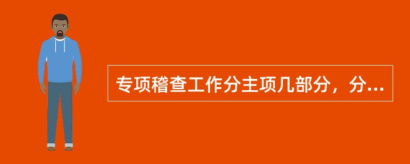 专项稽查工作分主项几部分，分项几部分进行评估（）