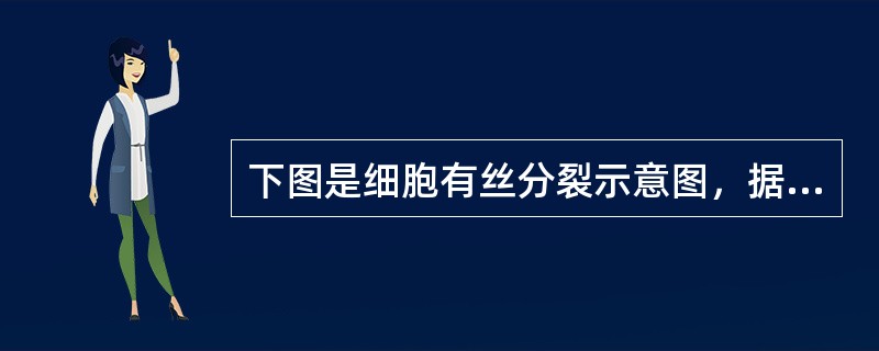 下图是细胞有丝分裂示意图，据图回答：（1）图1中的A图表示的是_________