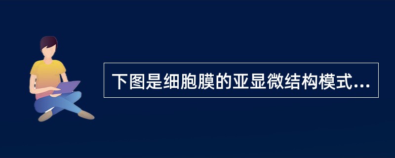 下图是细胞膜的亚显微结构模式图，①~③表示构成细胞膜的物质，有关说法错误的是（）