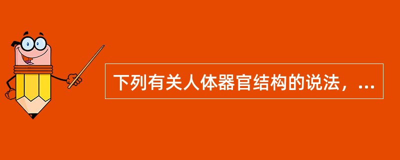 下列有关人体器官结构的说法，错误的是（）。