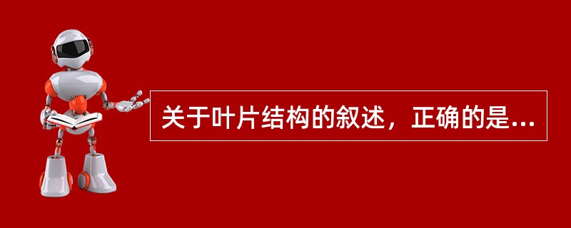 关于叶片结构的叙述，正确的是（）。