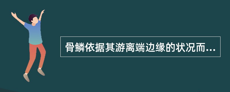 骨鳞依据其游离端边缘的状况而分为（）和（），其中，（）在鲤科鱼中常见，（）在鲈形