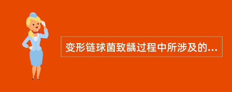 变形链球菌致龋过程中所涉及的最重要的物质是（）。