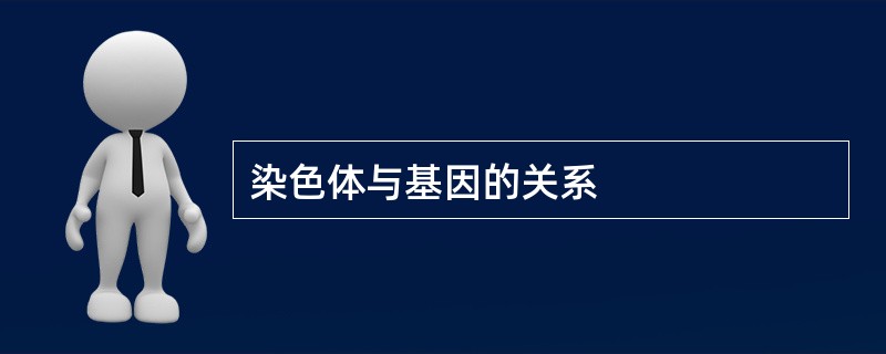 染色体与基因的关系