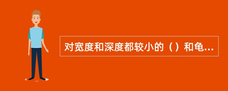 对宽度和深度都较小的（）和龟纹裂缝，可采用灌堵缝口的处理方法。