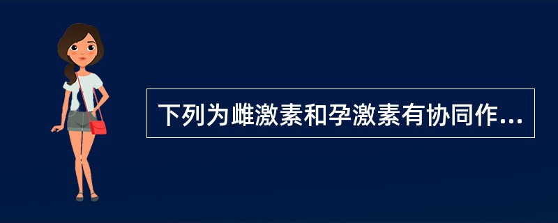 下列为雌激素和孕激素有协同作用的是（）