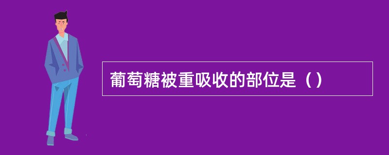 葡萄糖被重吸收的部位是（）