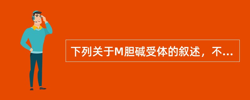 下列关于M胆碱受体的叙述，不正确的是（）