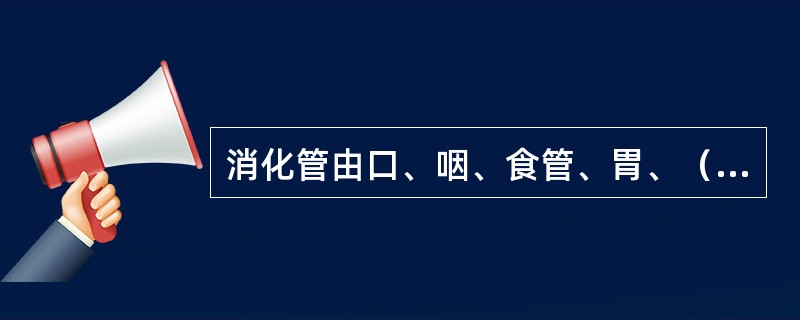 消化管由口、咽、食管、胃、（）、大肠和肛门组成。