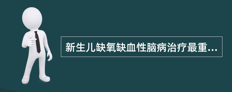 新生儿缺氧缺血性脑病治疗最重要的是（）。